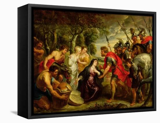 The Meeting of David and Abigail, 1625-28-Peter Paul Rubens-Framed Stretched Canvas