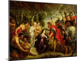 The Meeting of David and Abigail, 1625-28-Peter Paul Rubens-Mounted Giclee Print