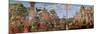 The Meeting of Etherius and Ursula and the Departure of the Pilgrims-Vittore Carpaccio-Mounted Premium Giclee Print