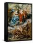 The Meeting of Marie De' Medici and Henry IV at Lyons (The Marie De' Medici Cycl)-Peter Paul Rubens-Framed Stretched Canvas