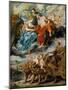 The Meeting of Marie De' Medici and Henry IV at Lyons (The Marie De' Medici Cycl)-Peter Paul Rubens-Mounted Giclee Print