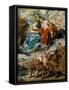 The Meeting of Marie De' Medici and Henry IV at Lyons (The Marie De' Medici Cycl)-Peter Paul Rubens-Framed Stretched Canvas