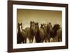 The Meeting-Tony Stromberg-Framed Art Print