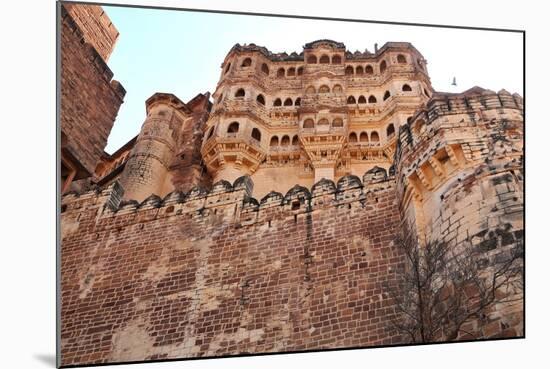 The Mehrangarh Fort of Jodhpur, Rajasthan, India, Asia-Godong-Mounted Photographic Print