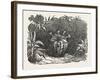 The Melon-Cactus, Melon Cactus-null-Framed Giclee Print