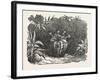 The Melon-Cactus, Melon Cactus-null-Framed Giclee Print