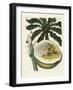 The Melon or Papaya Tree-null-Framed Giclee Print