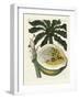 The Melon or Papaya Tree-null-Framed Giclee Print