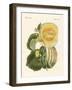 The Melon-null-Framed Giclee Print