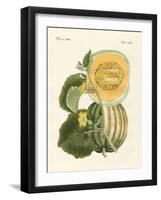 The Melon-null-Framed Giclee Print
