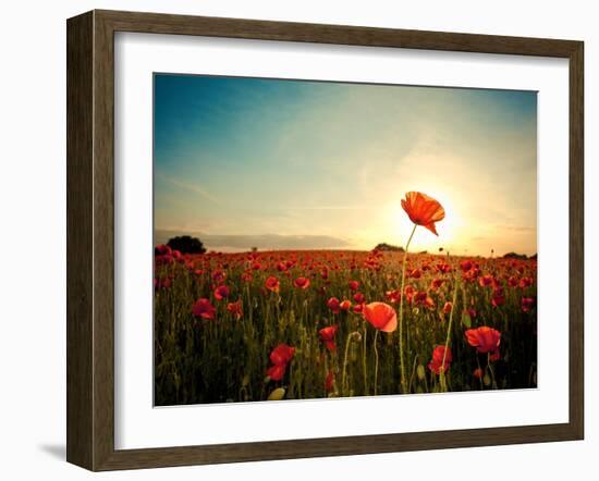 The Memory-Mark Gemmell-Framed Premium Photographic Print