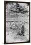 The Men-An-Tol or Holed Stone, Cornwall, England-Simon Marsden-Framed Giclee Print