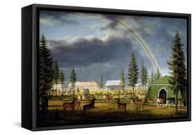 The Menagerie in the Gatchina Palace Park, 1792-Johann Jakob Mettenleiter-Framed Stretched Canvas