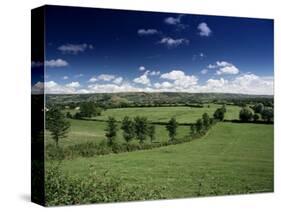 The Mendip Hills from Wedmore, Somerset, England, United Kingdom-Chris Nicholson-Stretched Canvas