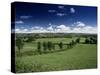 The Mendip Hills from Wedmore, Somerset, England, United Kingdom-Chris Nicholson-Stretched Canvas