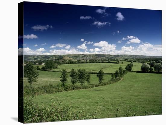 The Mendip Hills from Wedmore, Somerset, England, United Kingdom-Chris Nicholson-Stretched Canvas