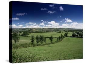 The Mendip Hills from Wedmore, Somerset, England, United Kingdom-Chris Nicholson-Stretched Canvas