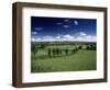 The Mendip Hills from Wedmore, Somerset, England, United Kingdom-Chris Nicholson-Framed Photographic Print