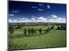 The Mendip Hills from Wedmore, Somerset, England, United Kingdom-Chris Nicholson-Mounted Photographic Print