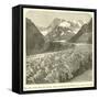 The Mer De Glace, Near Chamonix, Switzerland-null-Framed Stretched Canvas