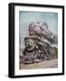 The 'Merchants Limited' All-Pullman Luxury Train of the New Haven Railroad at Speed South of Boston-null-Framed Giclee Print