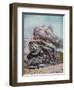 The 'Merchants Limited' All-Pullman Luxury Train of the New Haven Railroad at Speed South of Boston-null-Framed Giclee Print