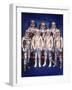 The Mercury Seven Astronauts, 1959-null-Framed Photographic Print