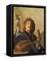 The Merry Lute Player, C.1624-28-Frans Hals-Framed Stretched Canvas