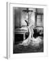 The Merry Widow, 1925-null-Framed Photographic Print