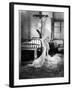 The Merry Widow, 1925-null-Framed Photographic Print