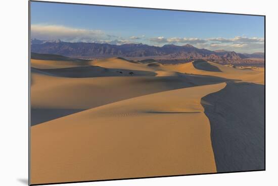 The Mesquite Sand Dunes in Death Valley National Park, California, USA-Chuck Haney-Mounted Photographic Print