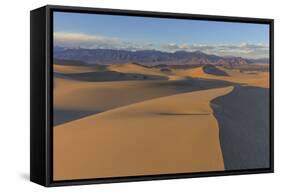 The Mesquite Sand Dunes in Death Valley National Park, California, USA-Chuck Haney-Framed Stretched Canvas