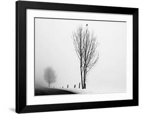 The Messenger-Ily Szilagyi-Framed Giclee Print