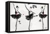 The Met Debut - Dancers in Black-Jodi Pedri-Framed Stretched Canvas
