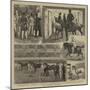 The Metropolitan Horse-Show-Alfred Chantrey Corbould-Mounted Giclee Print