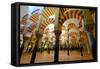 The Mezquita of Cordoba, Andalucia, Spain-Carlo Morucchio-Framed Stretched Canvas