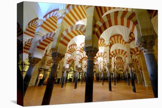 The Mezquita of Cordoba, Andalucia, Spain-Carlo Morucchio-Stretched Canvas