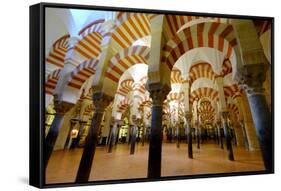 The Mezquita of Cordoba, Andalucia, Spain-Carlo Morucchio-Framed Stretched Canvas