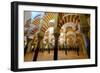 The Mezquita of Cordoba, Andalucia, Spain-Carlo Morucchio-Framed Photographic Print