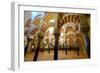 The Mezquita of Cordoba, Andalucia, Spain-Carlo Morucchio-Framed Photographic Print