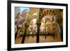 The Mezquita of Cordoba, Andalucia, Spain-Carlo Morucchio-Framed Photographic Print