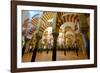 The Mezquita of Cordoba, Andalucia, Spain-Carlo Morucchio-Framed Photographic Print