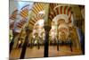 The Mezquita of Cordoba, Andalucia, Spain-Carlo Morucchio-Mounted Photographic Print