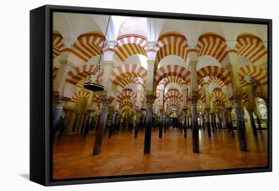 The Mezquita of Cordoba, Andalucia, Spain-Carlo Morucchio-Framed Stretched Canvas
