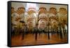 The Mezquita of Cordoba, Andalucia, Spain-Carlo Morucchio-Framed Stretched Canvas