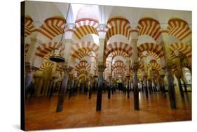 The Mezquita of Cordoba, Andalucia, Spain-Carlo Morucchio-Stretched Canvas