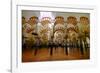 The Mezquita of Cordoba, Andalucia, Spain-Carlo Morucchio-Framed Photographic Print