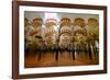 The Mezquita of Cordoba, Andalucia, Spain-Carlo Morucchio-Framed Photographic Print