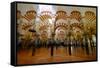 The Mezquita of Cordoba, Andalucia, Spain-Carlo Morucchio-Framed Stretched Canvas