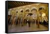 The Mezquita of Cordoba, Andalucia, Spain-Carlo Morucchio-Framed Stretched Canvas